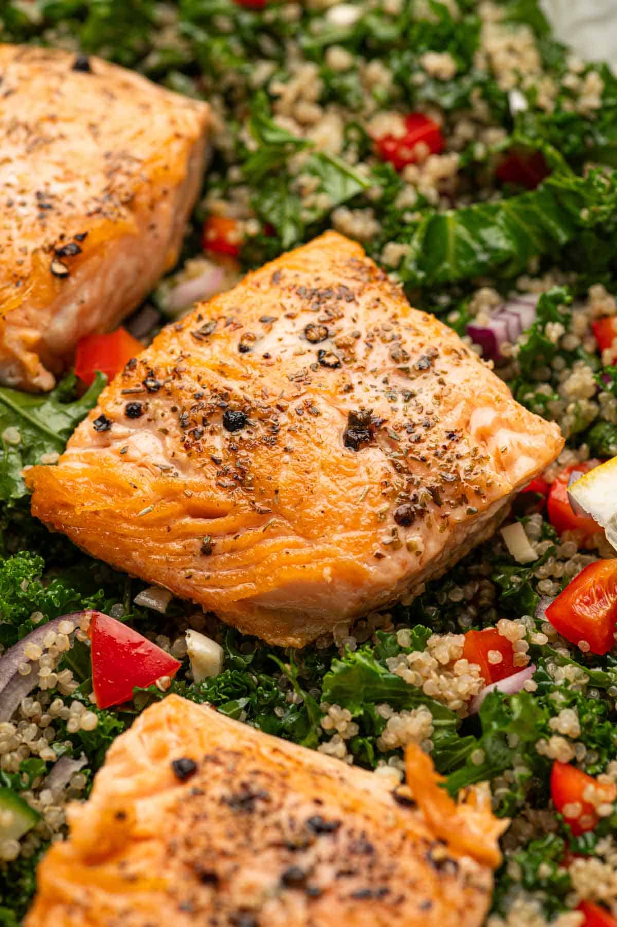 Close up shot of Salmon Kale Quinoa Salad