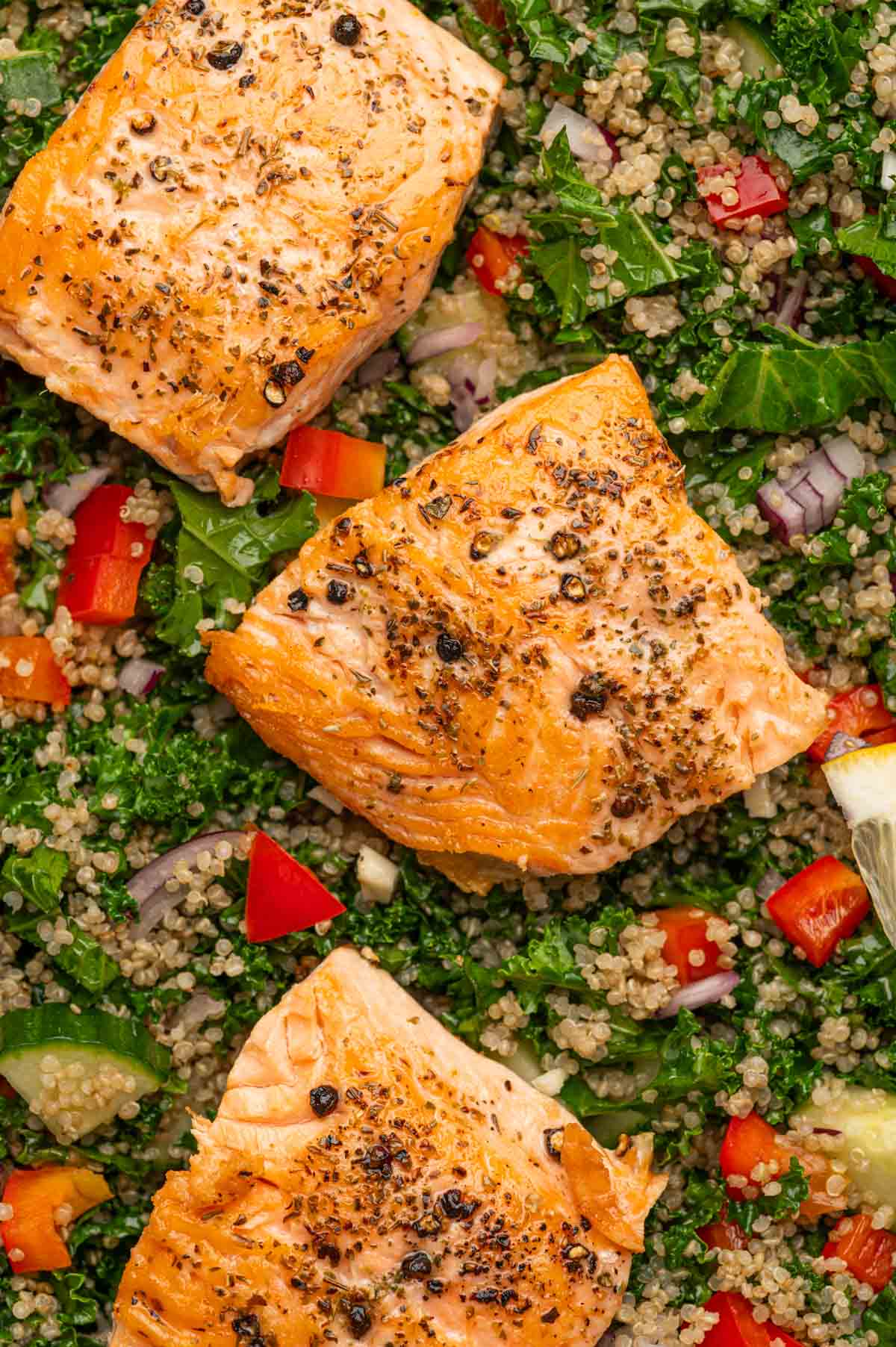 Close up shot for Salmon Kale Quinoa Salad