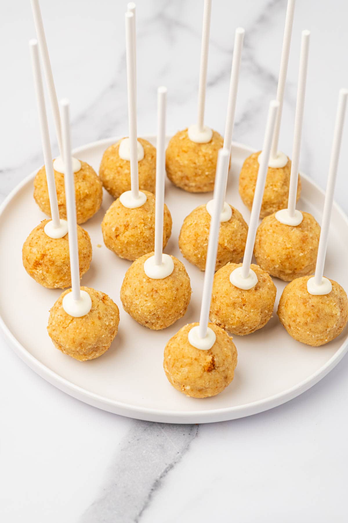 Pop sticks inserted into the Cake Balls.