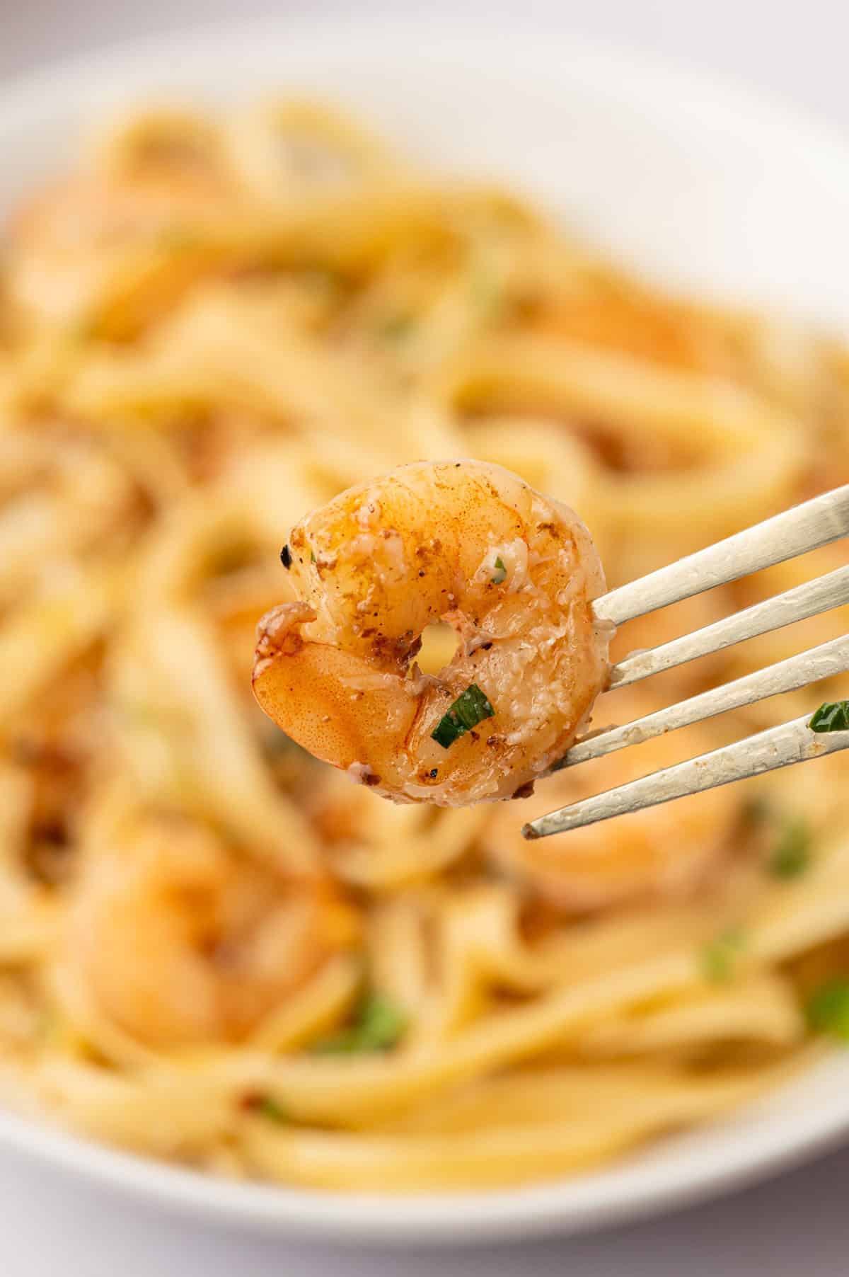 In a fork shrimp scampi fettuccine 