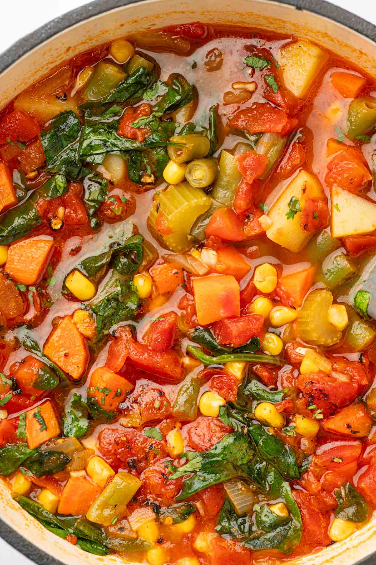 Close up shot of spicy vegetable soup