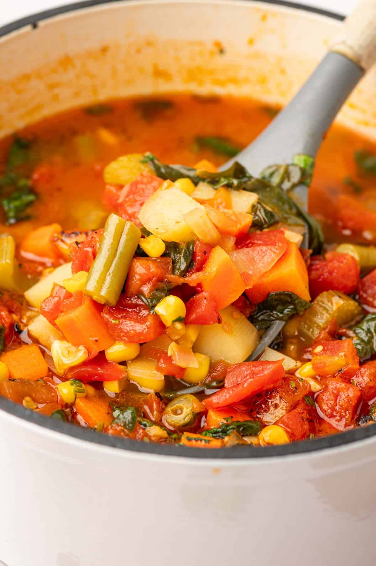 Spincy vegetable soup in a soup laddle