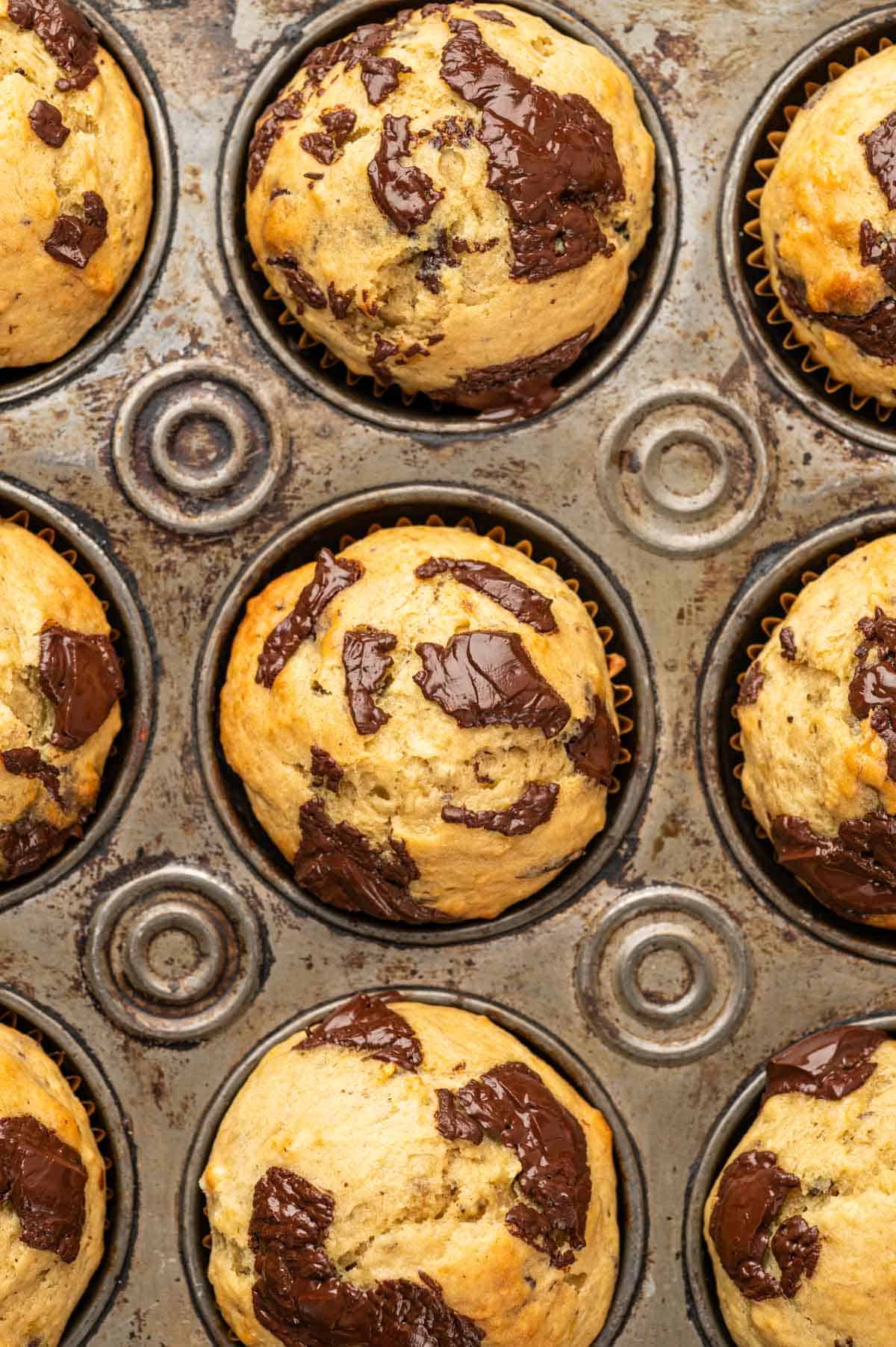 Banana Chocolate chunk Muffins baked in a muffin pan close up shot.