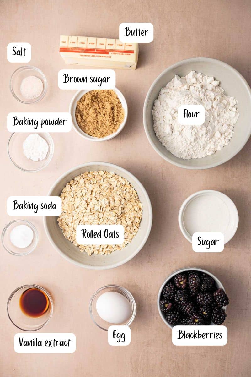 Ingredients laid out for making blackberry oatmeal cookies.