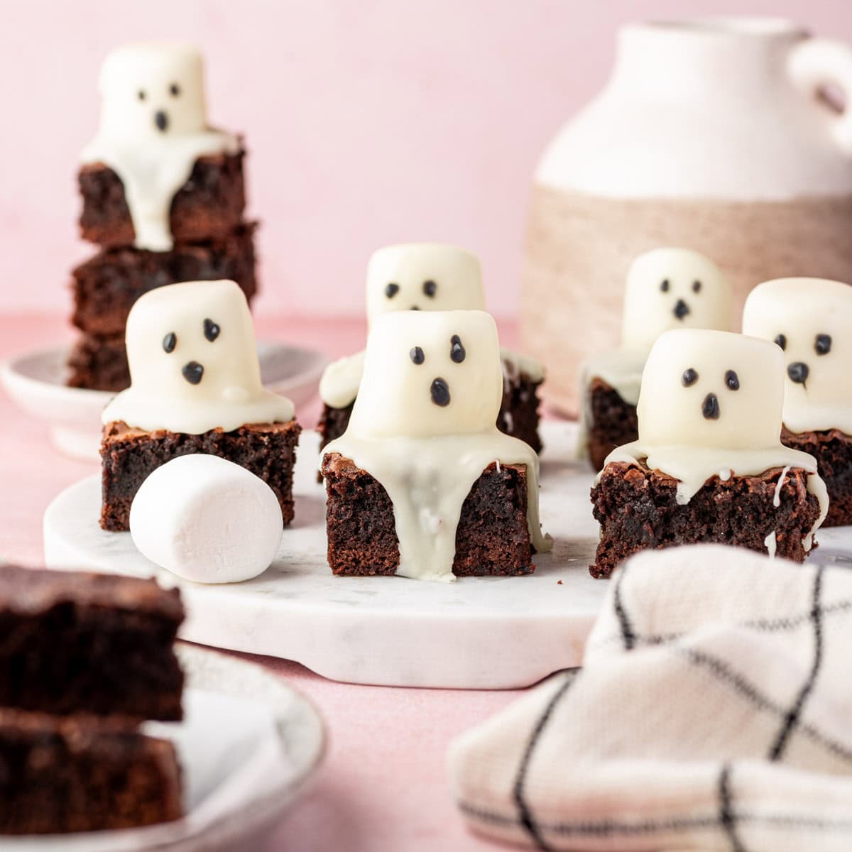 しーん sp. Brownie Ghost2011-2012 ブセファランドラsp ブラウニーゴースト 2011-2012 nakamoto 完全水中