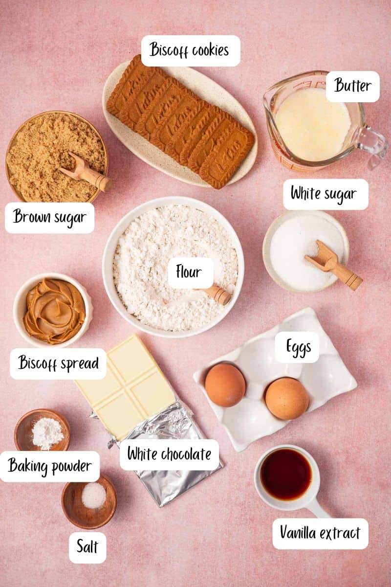 Ingredients laid out for making fudgy biscoff blondies recipe