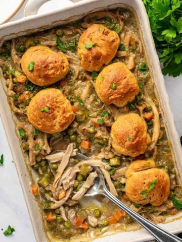 Comfort food chicken and dumpling casserole baked until golden brown and bubbling.