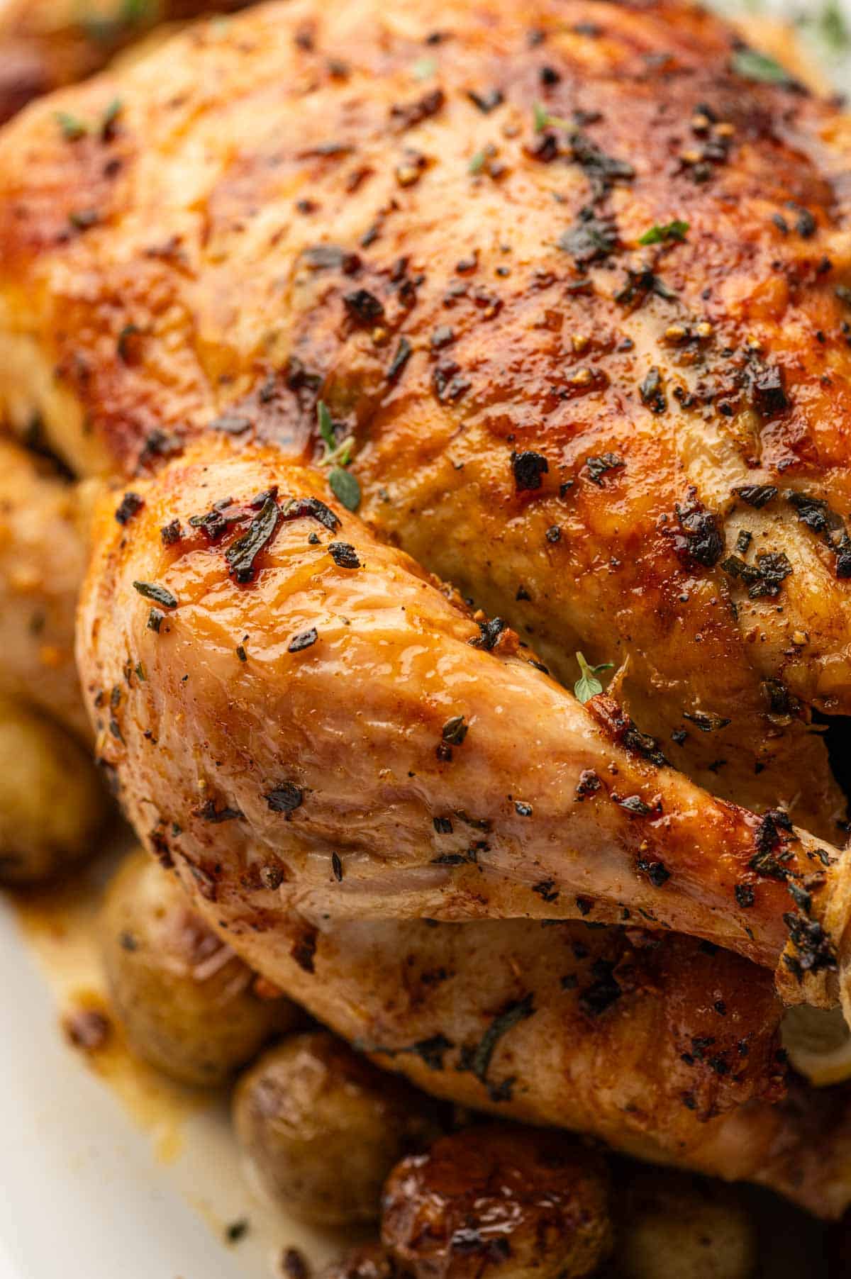 close up leg part of oven roasted chicken and potatoes, perfectly browned and ready to serve for thanksgiving dinner