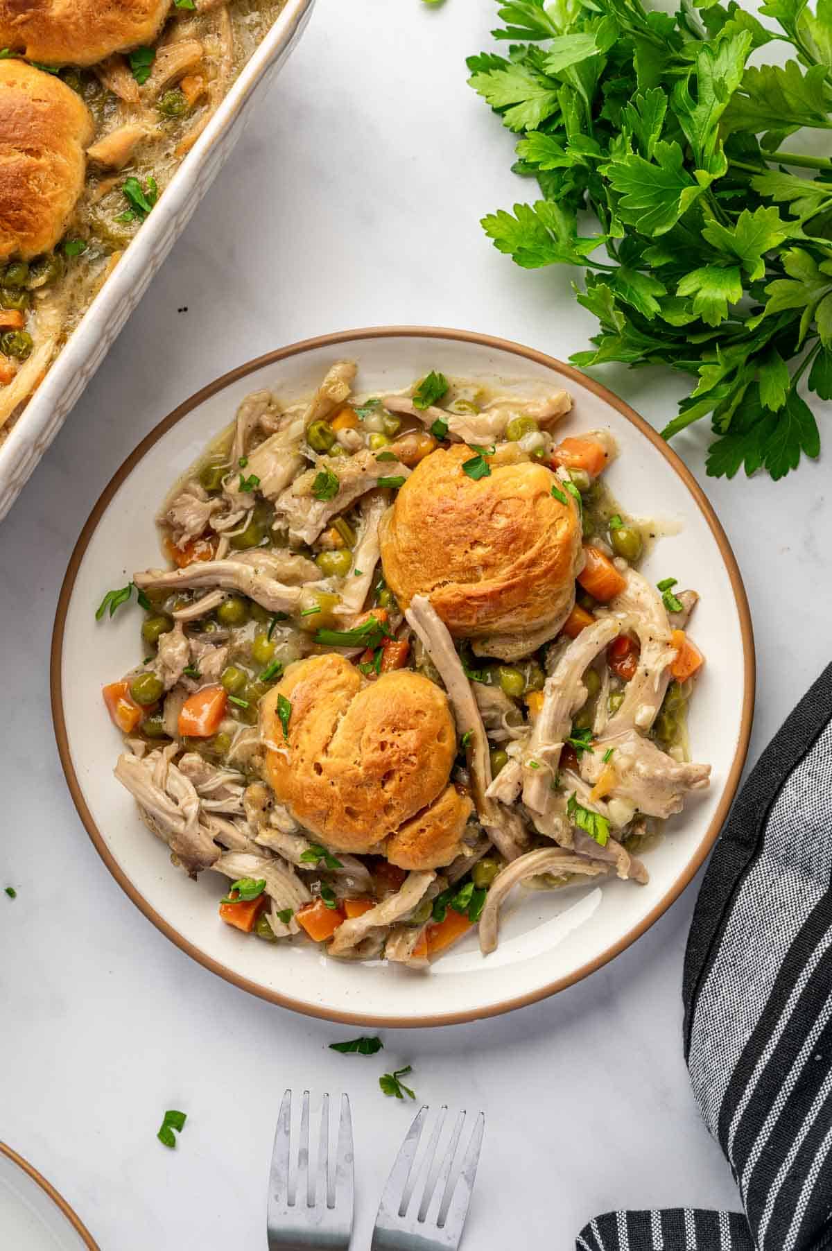Plate of creamy chicken casserole topped with golden biscuit dumplings
