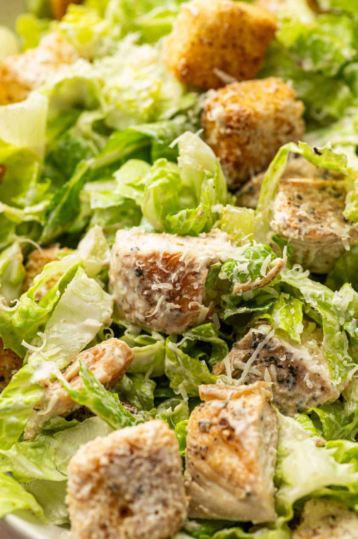 Close-up of crisp romaine coated lightly in creamy yogurt dressing