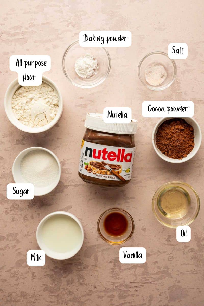 Ingredients for Nutella mug cake without egg, flour cocoa Nutella milk and vanilla.